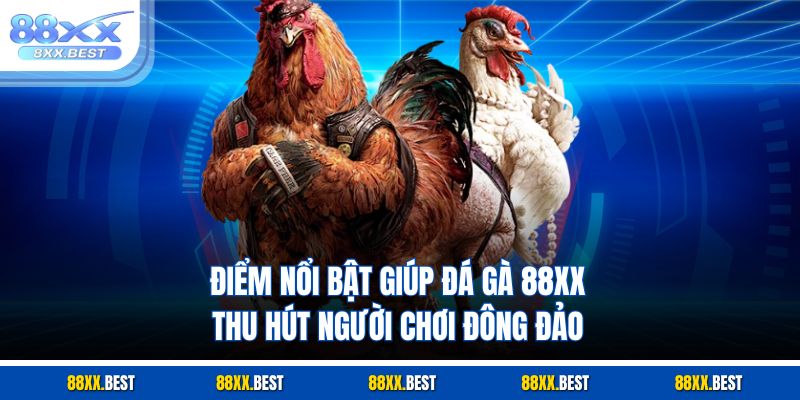 Điểm nổi bật giúp đá gà 88XX thu hút người chơi đông đảo