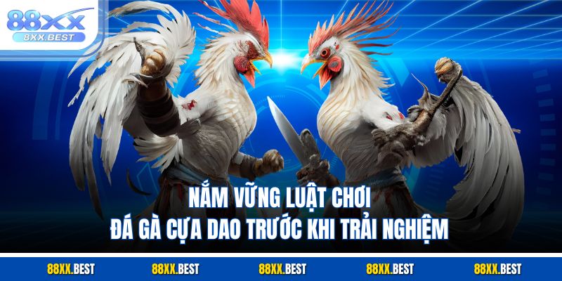 Nắm vững luật chơi đá gà cựa dao trước khi trải nghiệm