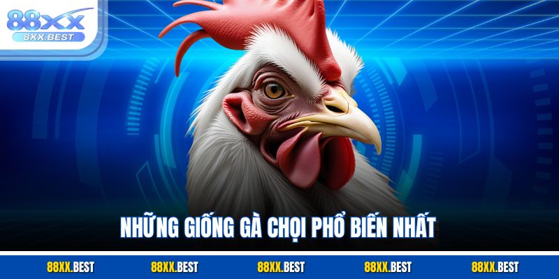 Những giống gà chọi phổ biến nhất
